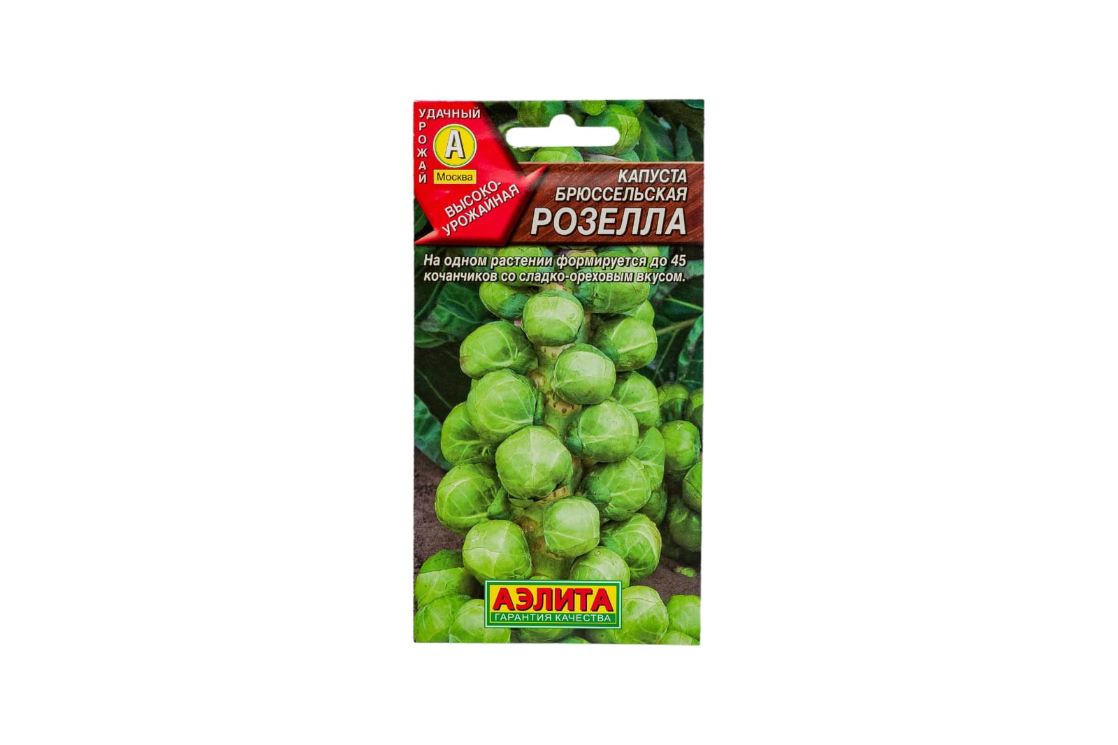 بروكسل روزيلا 