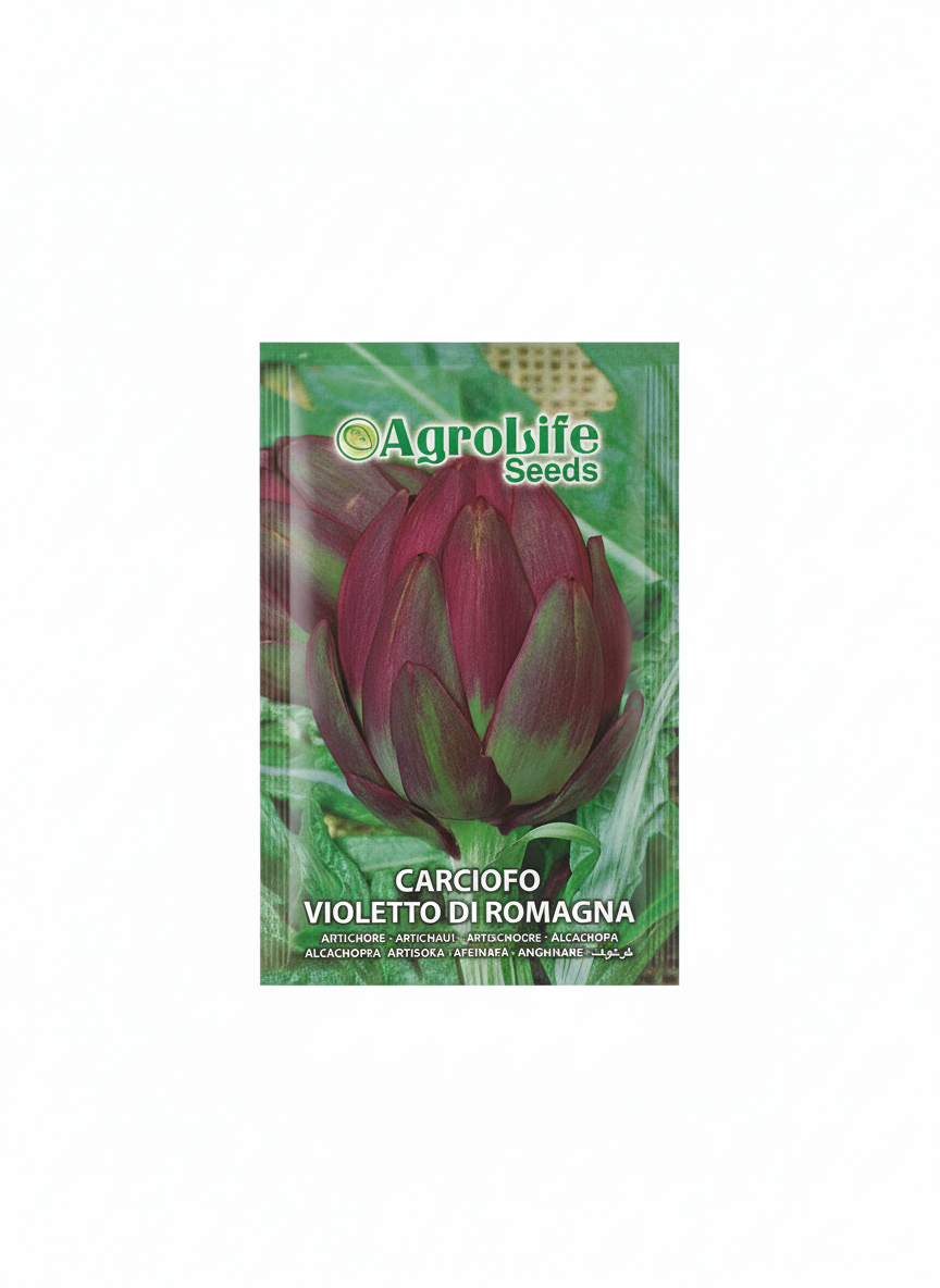 أرطيشو بنفسجي