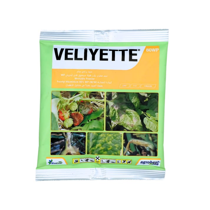فالييت مبيد فطري جهازي وقائي وعلاجي - VELIYETTE 80WP Systemic Fungicide