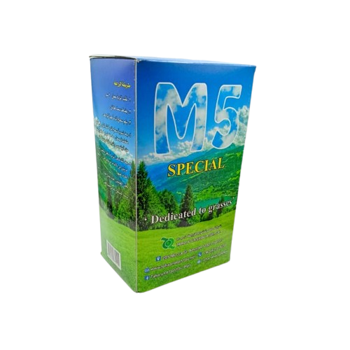 بذور نجيل طبيعي إم فايف 1 كغم - M5 SPECIAL Lawn Seeds 1 kg