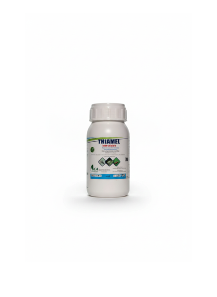 ثياميل – THIAMEL