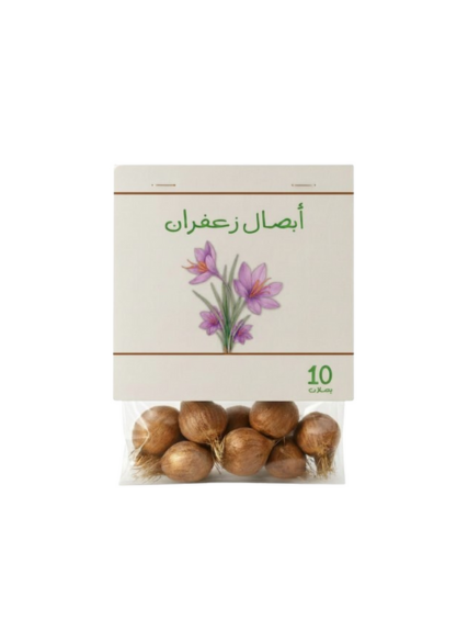 أبصال زعفران حجم كبير عدد 10 - Saffron 10 Bulbs Jambo Size