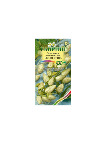 فراولة برية مستمرة الإنتاج وايت سول 