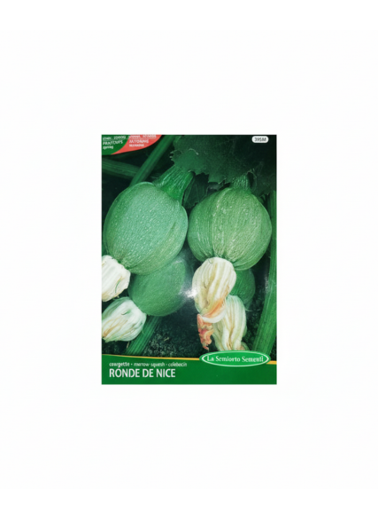 قرع أخضر دائري