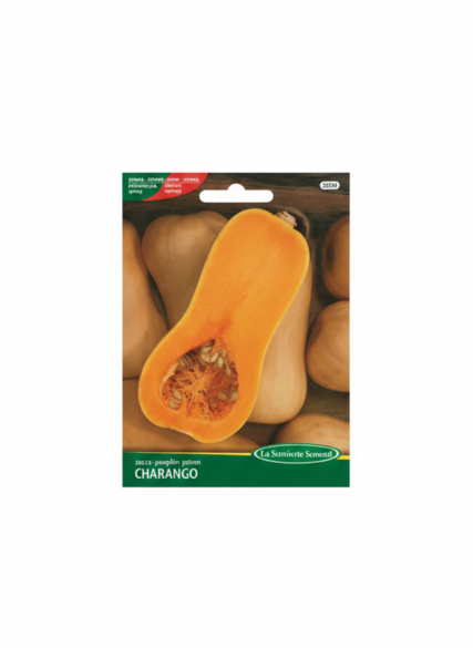 القرع الشتوي 